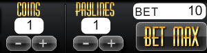 Betting Options From A Slot Game On Free Slots 4U