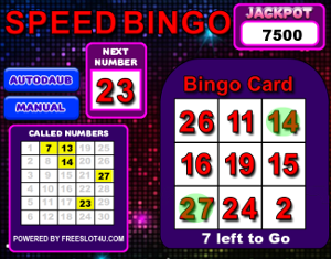 Bingo Slot Speed Bingo Bonus Game Screenshot
