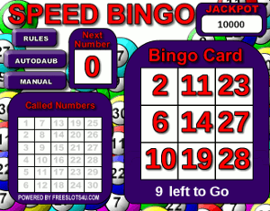 Bingo Slot Bonus Game Screenshot