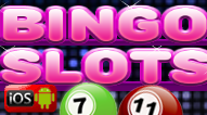 Free bingo  Slot Game