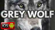 Free Grey Wolf Slot Game
