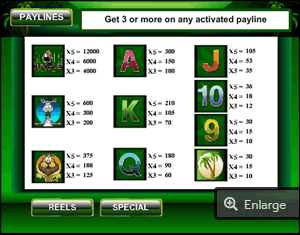 slots jungle slot  paytable